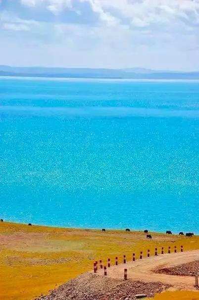 青海智造领航未来,青海高科技产品新篇章启幕