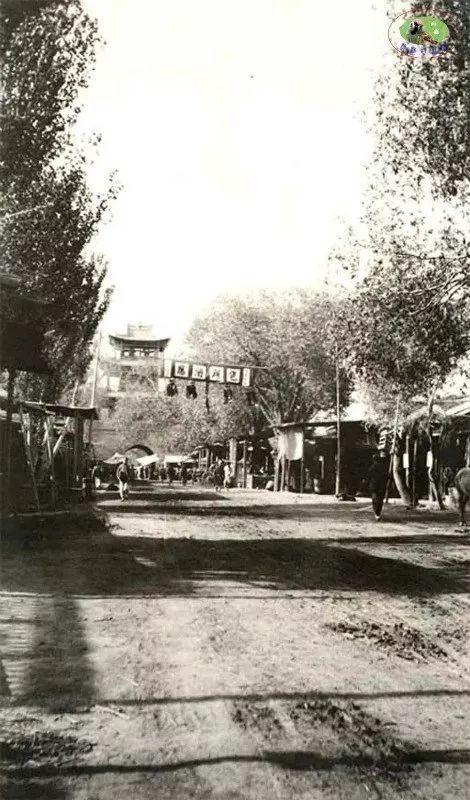 新疆，多元文化交融的乐章与和谐发展的诗篇