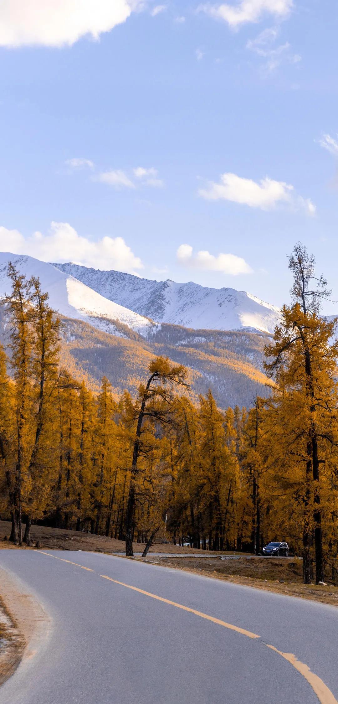 新疆,多元文化交融的乐章与和谐发展的诗篇