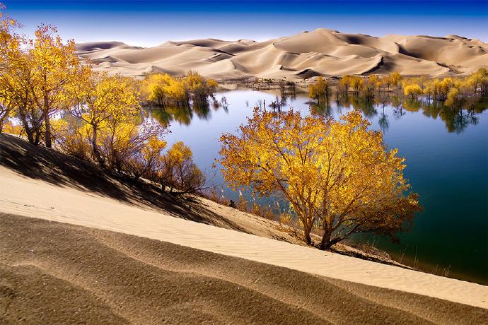 新疆,多元文化交融的乐章与和谐发展的诗篇